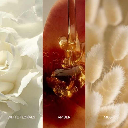 Collage of white florals, amber, and musk scents with corresponding labels.