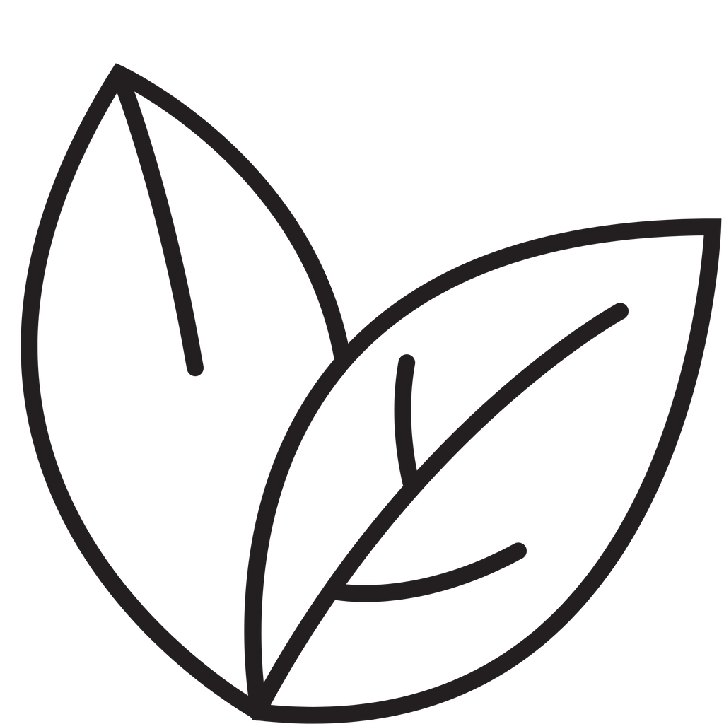 Untitled design - 2024-09-21T152952.240.png
